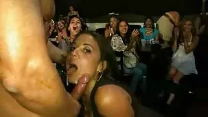 Tu gato destruye una foto inolvidable