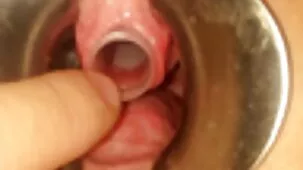 la estrella del porno
