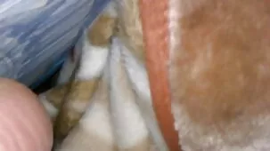 cállate y dámelo
